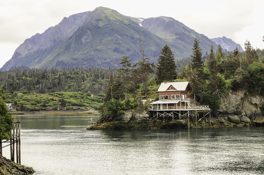 Wildlife Photograph - Halibut Cove Hideaway by Phyllis Taylor