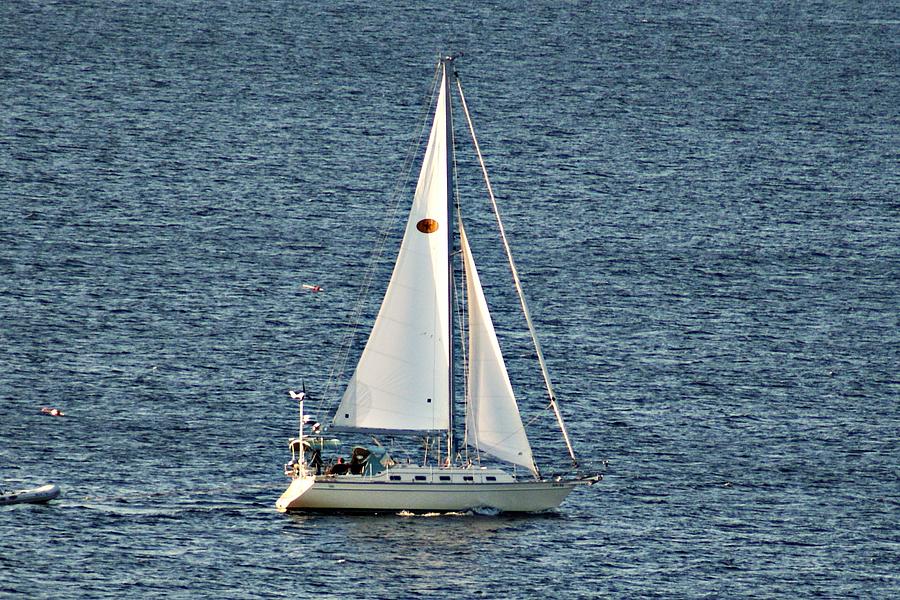 Halibut Point Sailboat Photograph by Joe Faherty