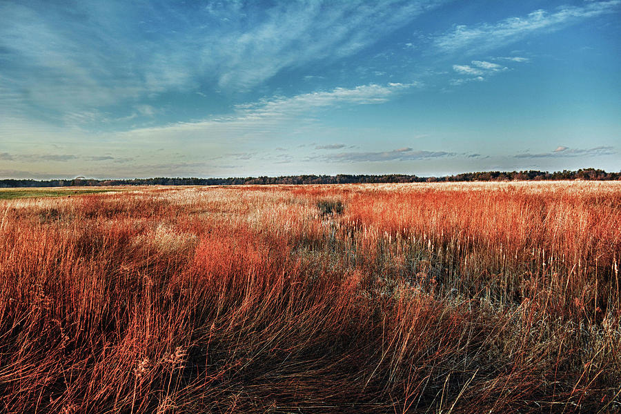 Halifax Marsh Field Photograph by Garrett Sheehan