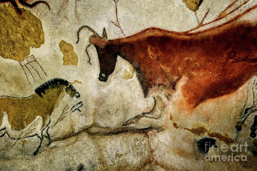 Hall of the Bulls - Lascaux Photograph by Doc Braham