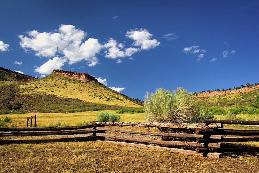 Landscape Photograph - Hall Ranch Park in Colorado by Carolyn Derstine