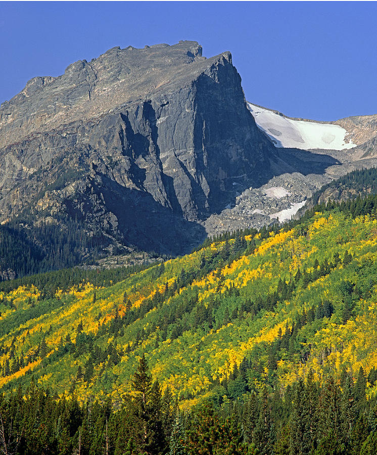 310221-V-Hallet Peak in Autumn V  Photograph by Ed  Cooper Photography