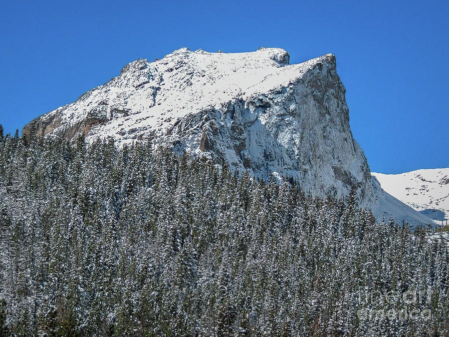 Hallett Peak Photograph by Lynn Sprowl