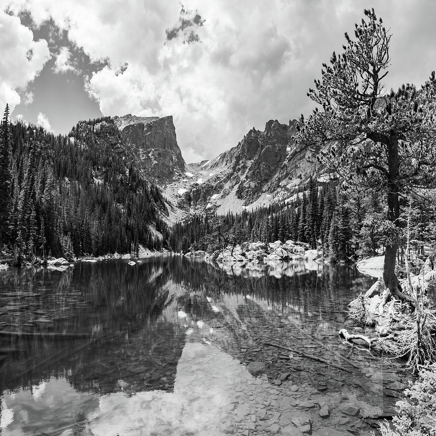 Hallett Peak and Dream Lake Monochrome Reflections - Rocky Mountain National Park Photograph by Gregory Ballos