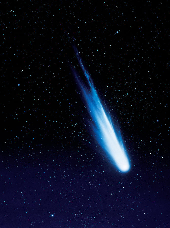 Astronomy Photograph - Halleys Comet by Detlev Van Ravenswaay