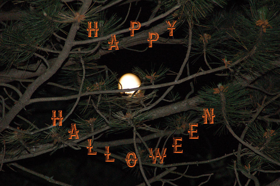 Halloween Card Photograph by Aimee L Maher ALM GALLERY
