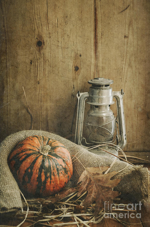 Halloween Compositin Photograph by Jelena Jovanovic