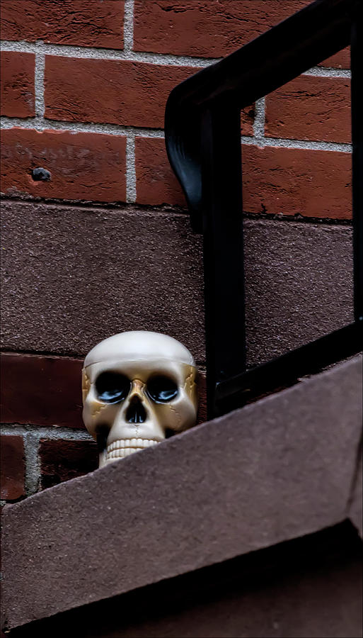Halloween Decoration - Skull Photograph by Robert Ullmann