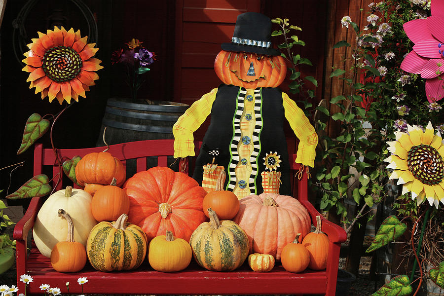 Halloween Display Photograph by Art Block Collections