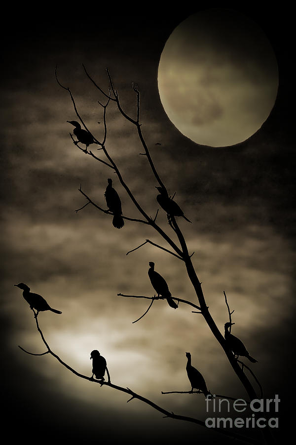 Halloween Photograph - Guardians of the Lake by Elizabeth Winter
