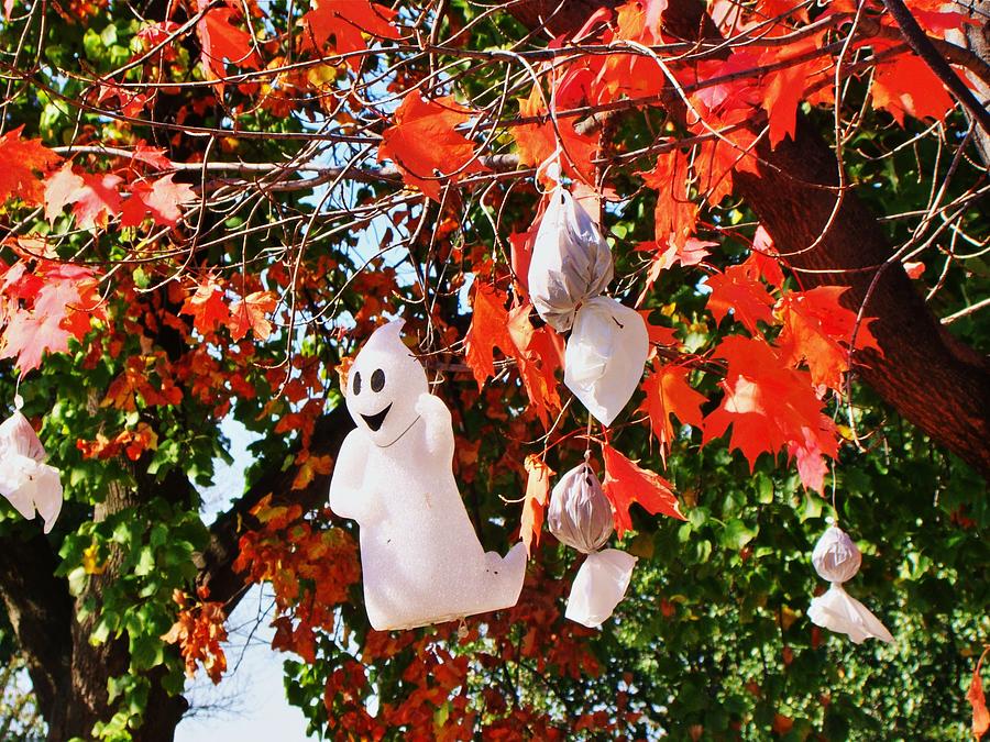 Holiday Photograph - Halloween Ghost Tree by Angel Vasquez