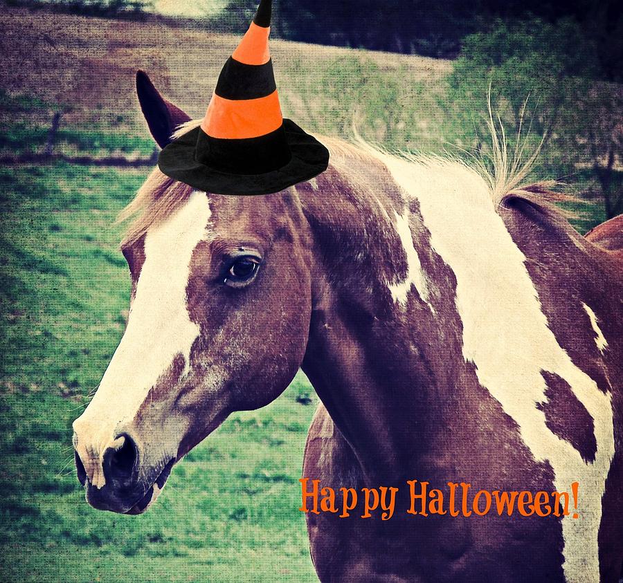 Halloween Horse Photograph By Cassie Peters | Fine Art America