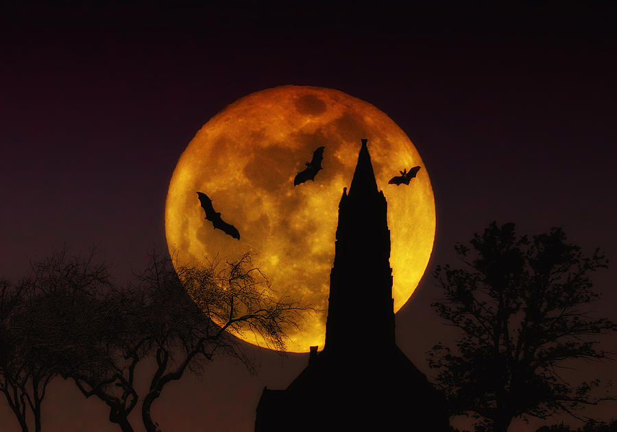 Halloween Moon Photograph by Bill Cannon