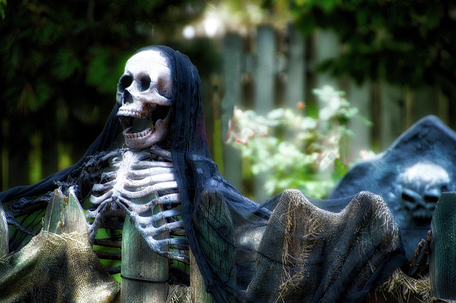 Halloween Mr Bones Photograph by Thomas Woolworth