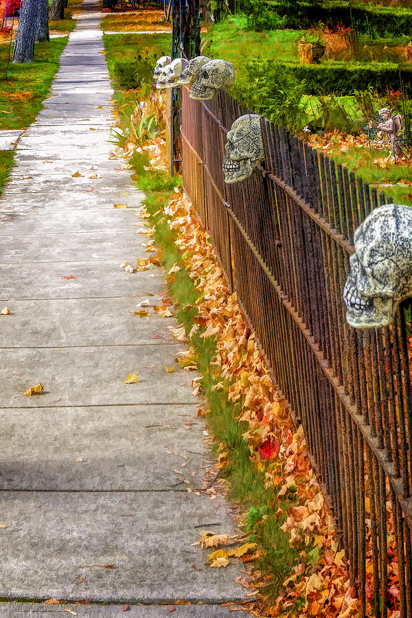 Halloween On Tillson Street Photograph