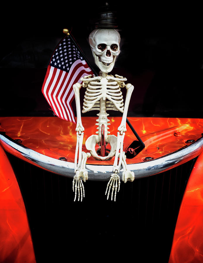 Skeleton Photograph - Halloween or Politics by David Kay