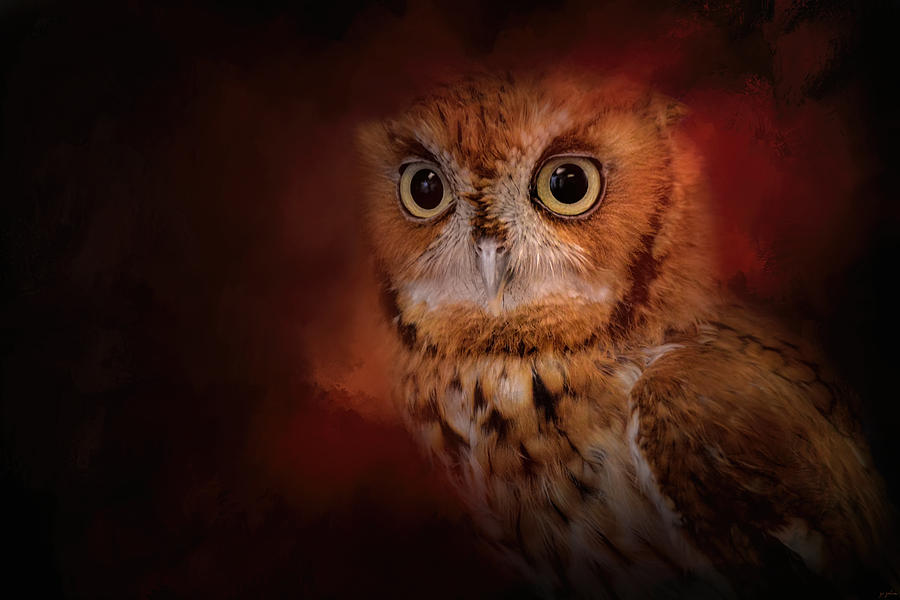 Bird Photograph - Halloween Owl by Jai Johnson