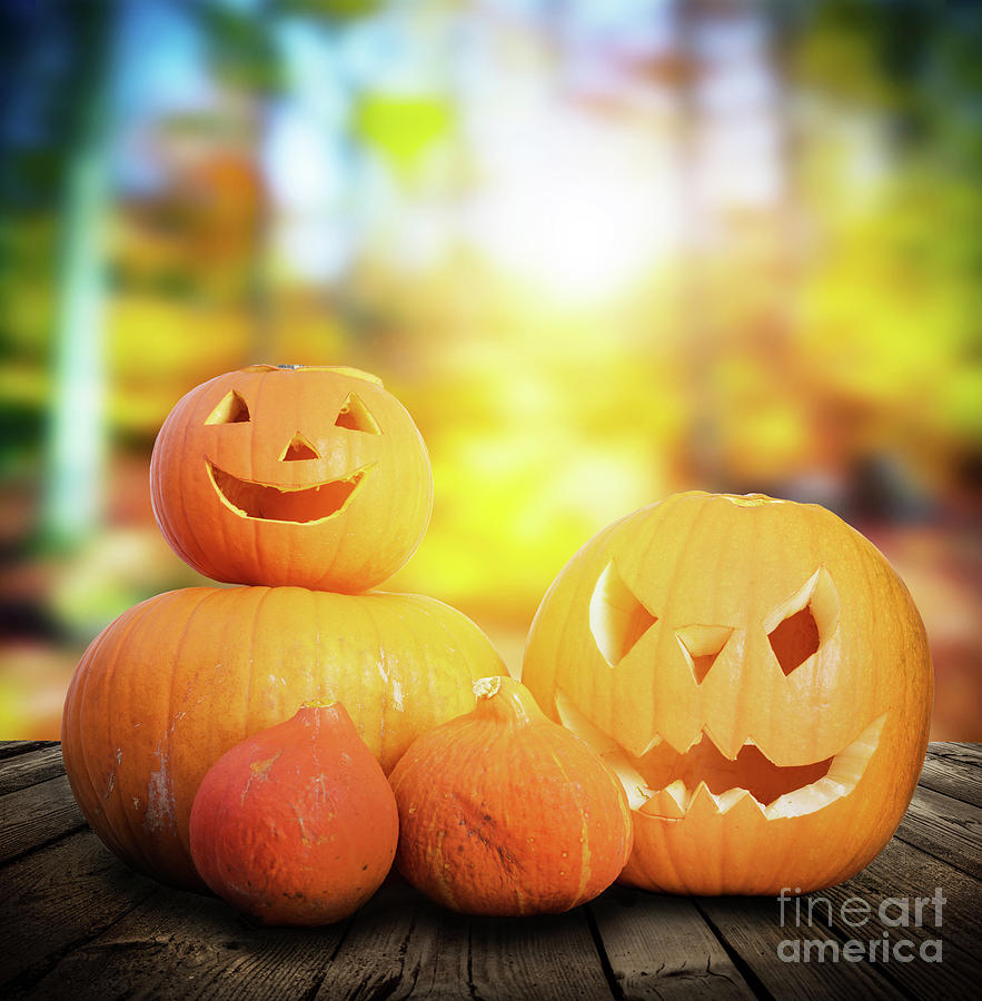 Halloween pumpkins on autumn forest background Photograph by Michal Bednarek
