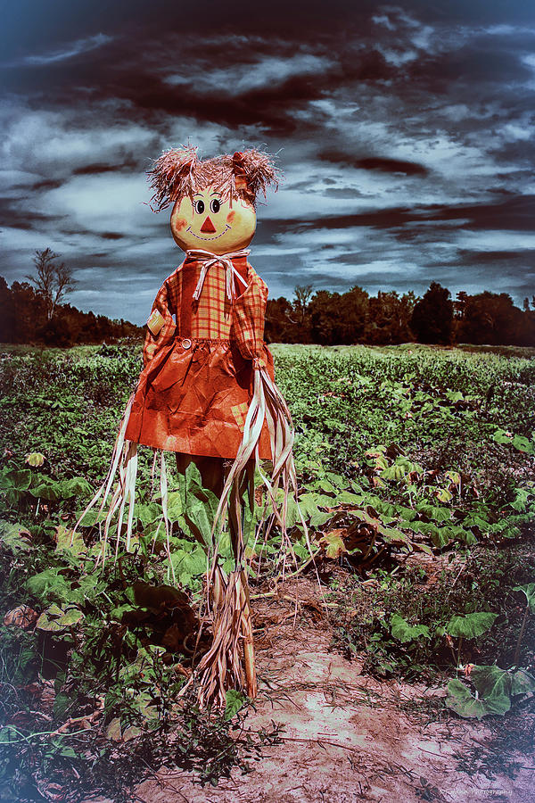 Halloween Scarecrow  Photograph by Debra Forand