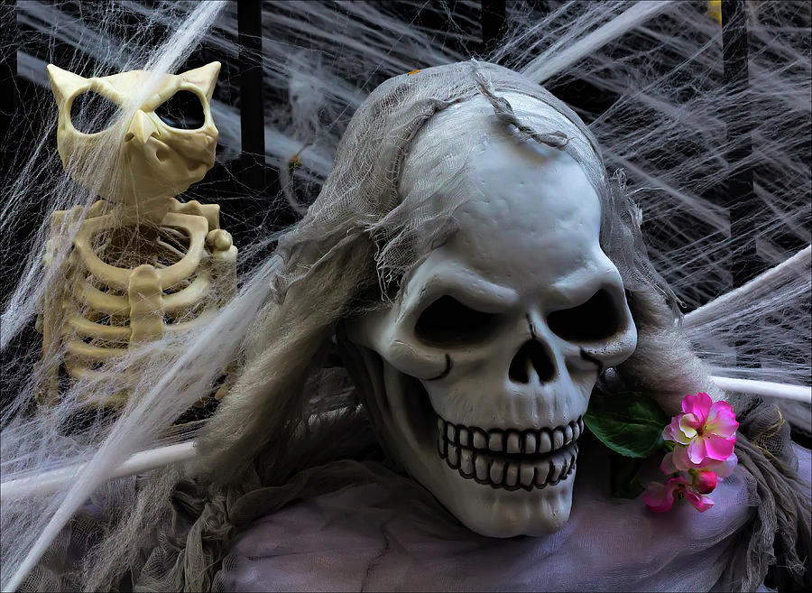 Halloween Skeletons Photograph by Robert Ullmann