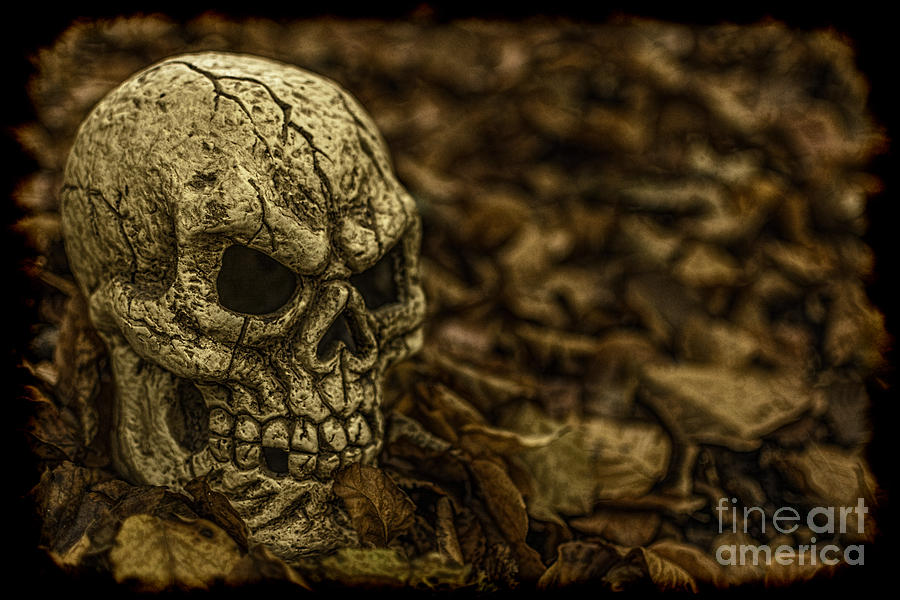 Halloween Skull 1 Photograph by Steve Purnell