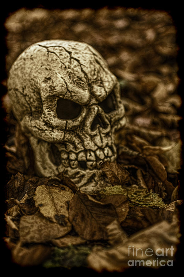 Halloween Skull 2 Photograph by Steve Purnell