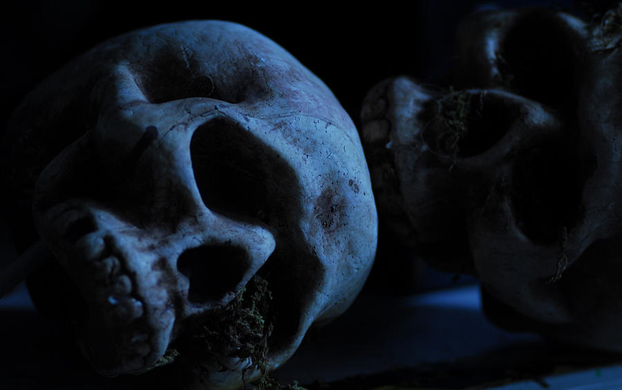 Halloween Photograph - Halloween skulls by Craig Incardone