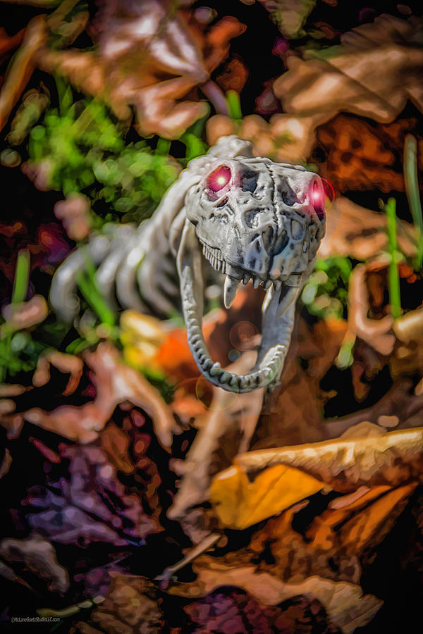 Halloween Snake Eyes Photograph by LeeAnn McLaneGoetz McLaneGoetzStudioLLCcom