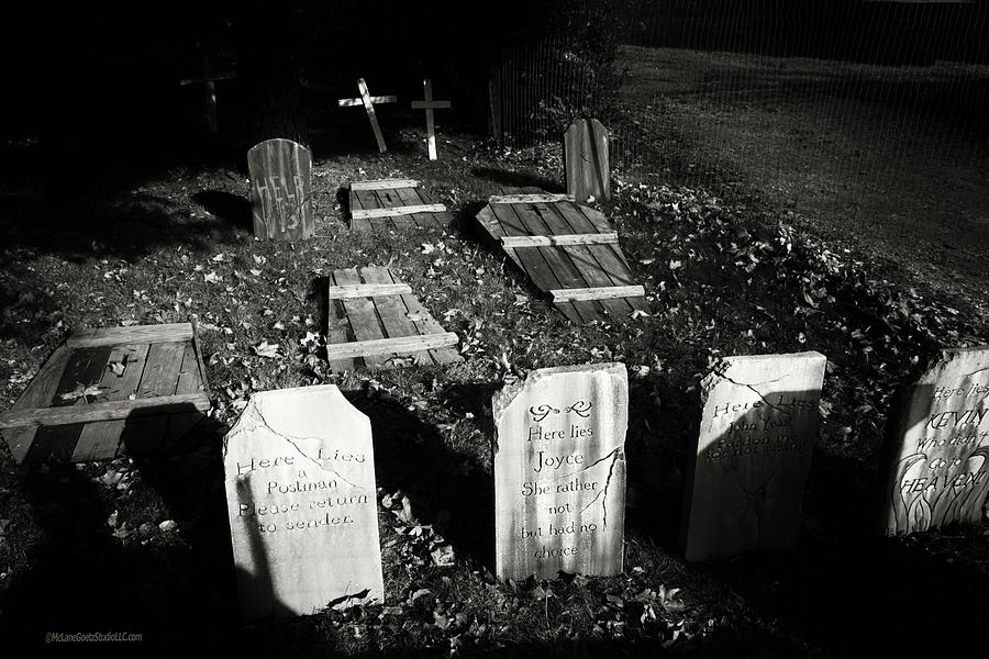 Halloween tombstones on Tillson Street Photograph by LeeAnn McLaneGoetz McLaneGoetzStudioLLCcom