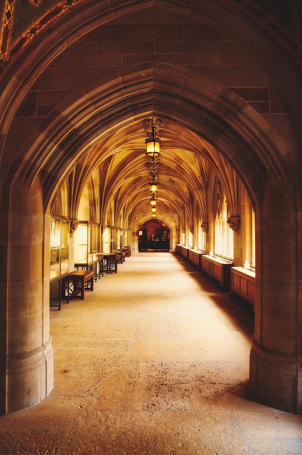 Halls Of Yale Photograph by Mountain Dreams