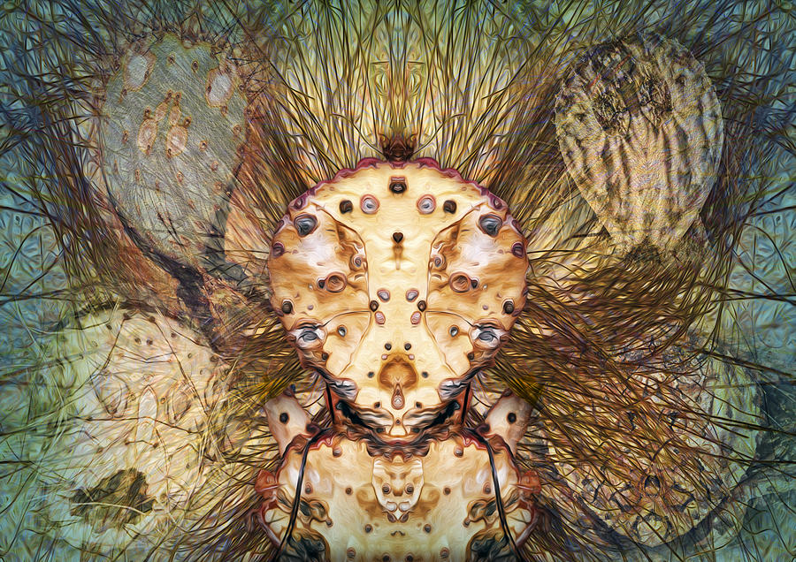 Hallucina-Jim Digital Art by Becky Titus