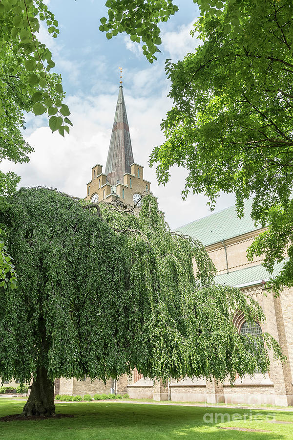 Halmstad Church in Summertime Photograph by Antony McAulay