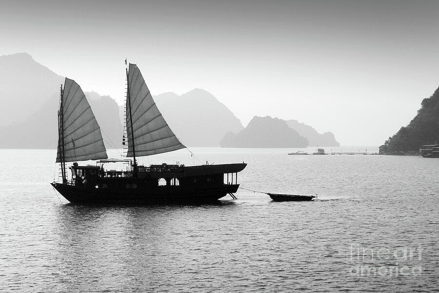 Junk in Halong bay black and white Photograph by Delphimages Photo Creations