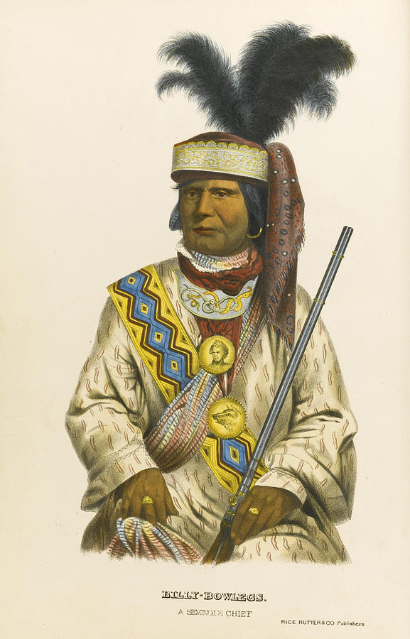 Halpatter-micco Or Billy Bowlegs. A Seminole Chief Drawing by Charles Bird King
