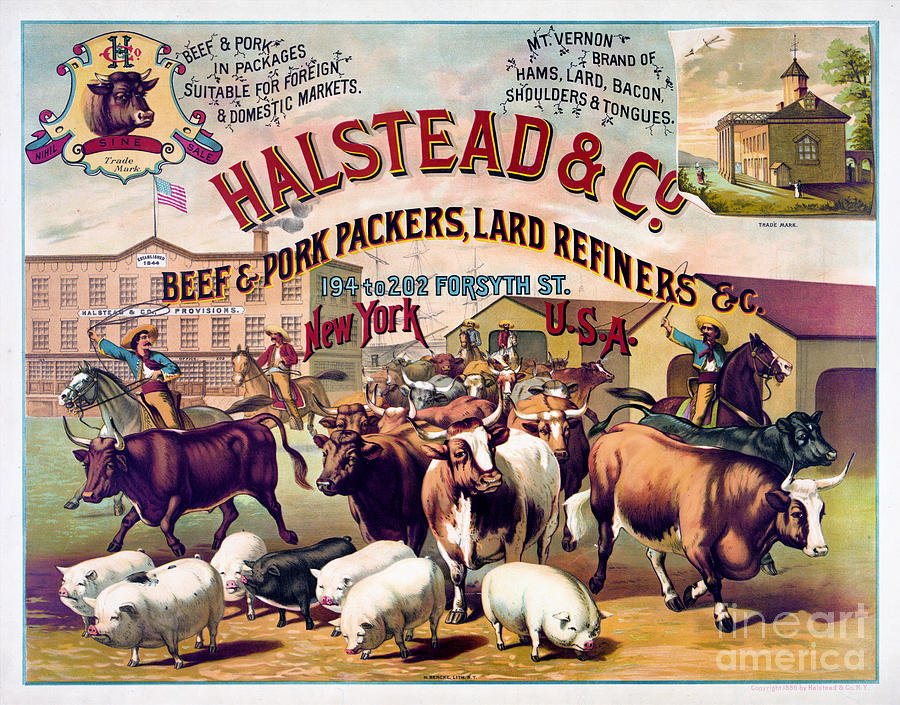 Vintage Painting - Halstead and C beef and pork Packers Vintage Poster by Vintage Treasure