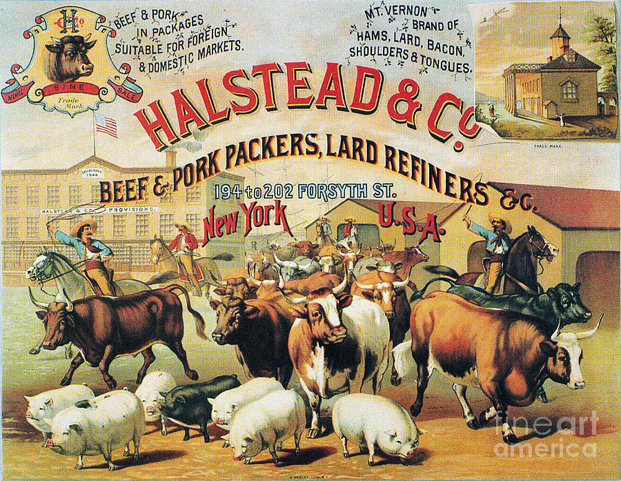 Halstead & Co., 1886 Photograph by Granger