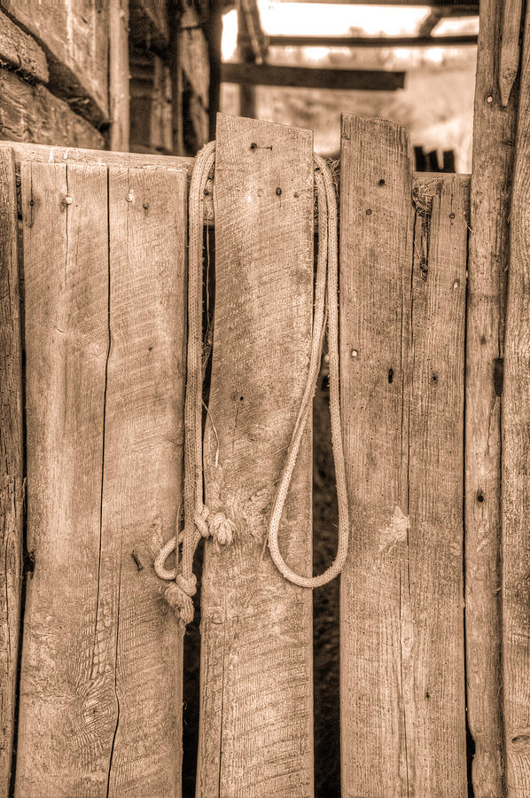 Vintage Photograph - Halter Rope on Vintage Barn Stall Door by Douglas Barnett
