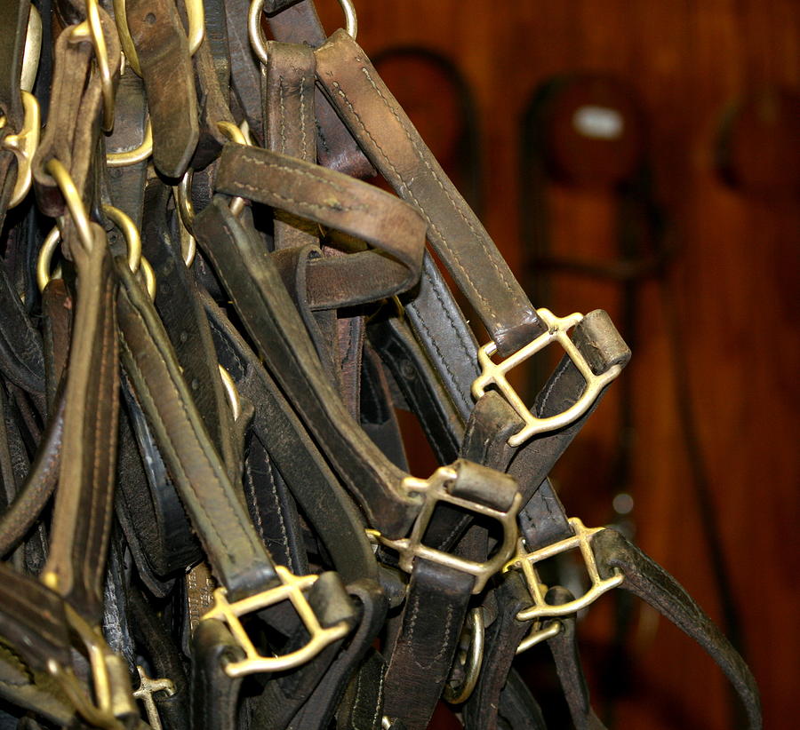 Tool Photograph - Halters by Cathy Harper