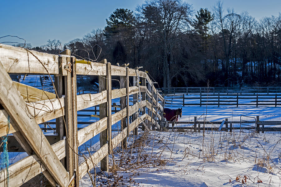 Hamilton MA Equestrian Farm Blanket of Winter Snow Fence Photograph by Toby McGuire