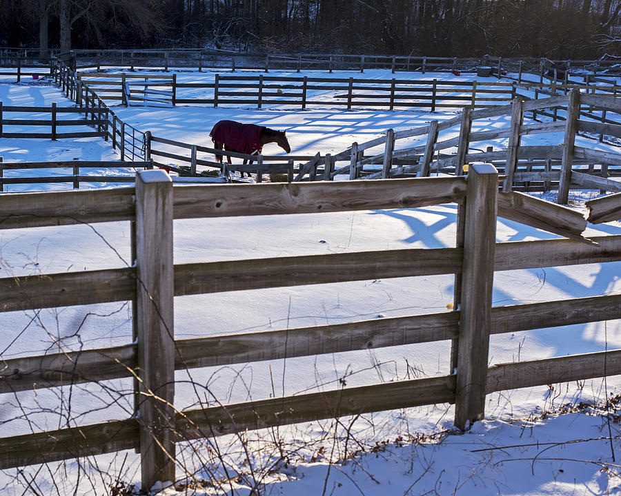 Hamilton MA Equestrian Farm Blanket of Winter Snow Fences Photograph by Toby McGuire
