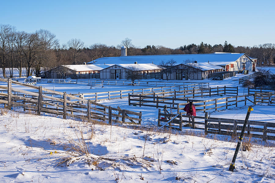 Hamilton MA Equestrian Farm Blanket of Winter Snow Photograph by Toby McGuire