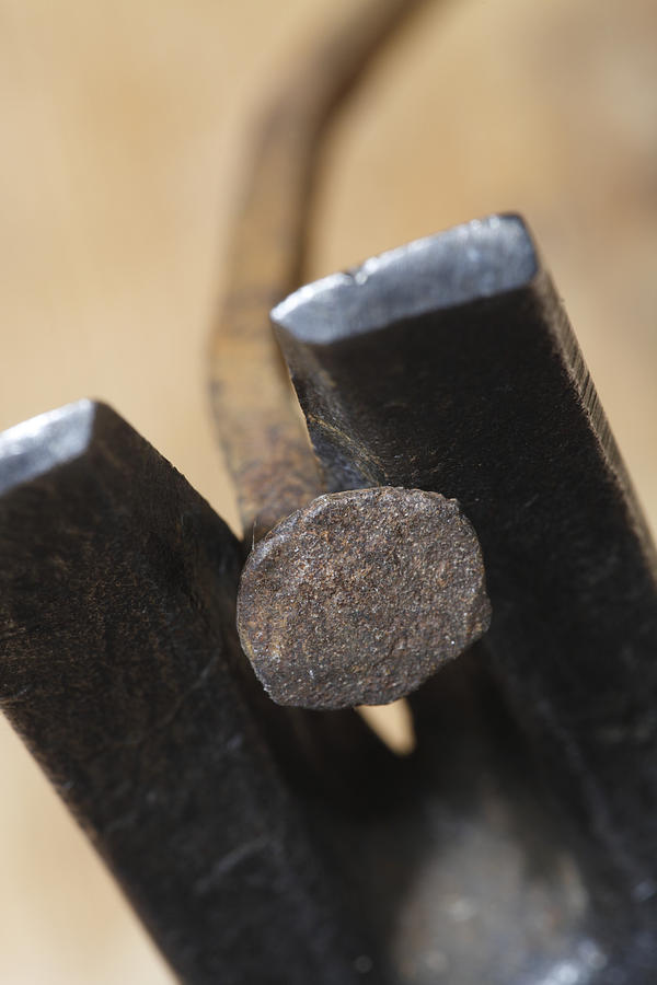 Hammer drawing a rusty nail Photograph by Ulrich Kunst And Bettina Scheidulin