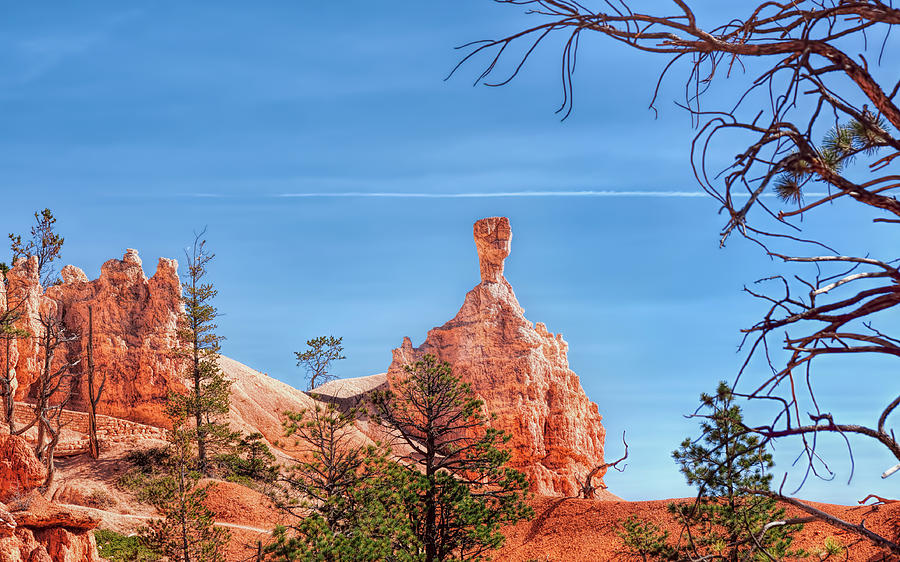 Hammerhead Hoodoo at Bryce Canyon Photograph by John M Bailey