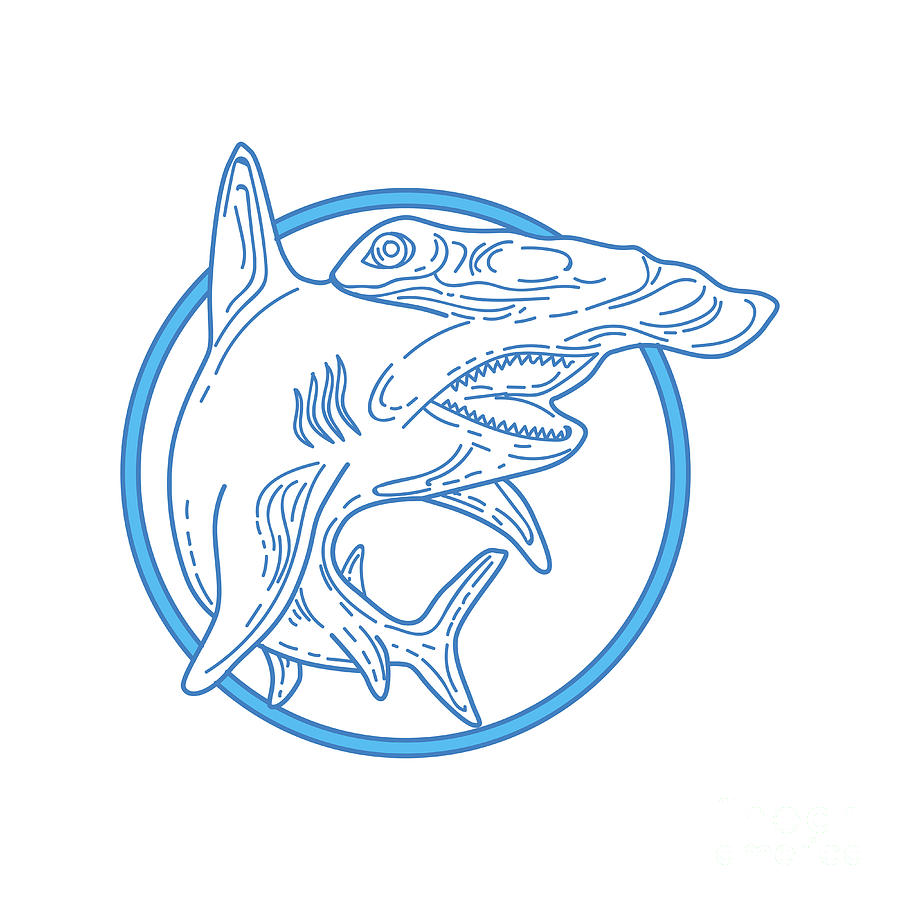 Hammerhead Shark Circle Mono Line Digital Art by Aloysius Patrimonio -  Pixels