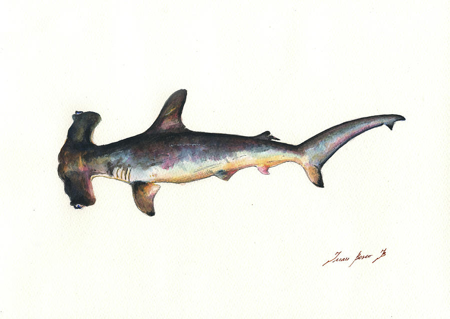 Hammerhead Shark Painting - Hammerhead shark by Juan Bosco