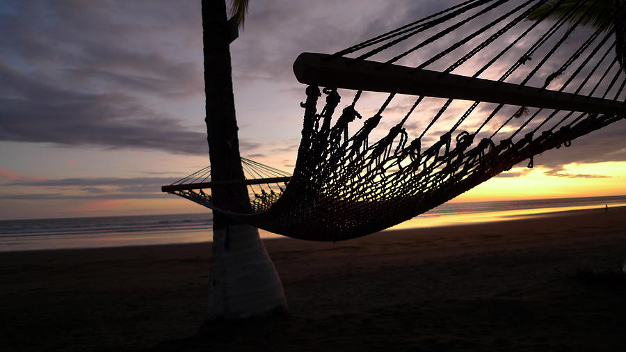 Hammock just waiting for you Photograph by Linda Russell