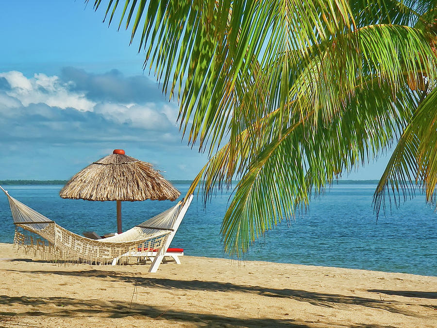 Hammock on a beach in Belize Photograph by Waterdancer