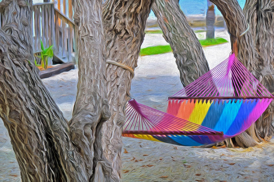 Hammock Time in the Florida Keys Photograph by Ginger Wakem