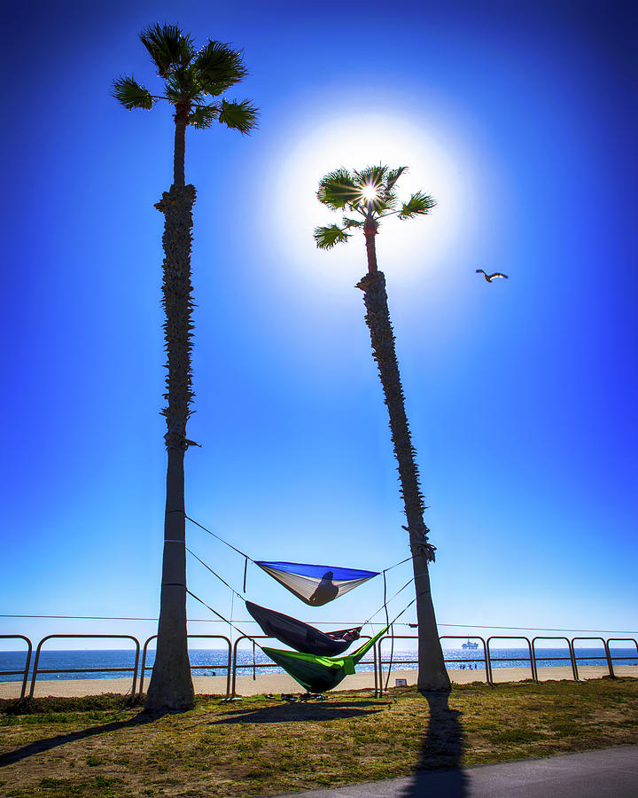 Hammock Time Surf City, Huntington Beach, California Photograph by Don Schimmel