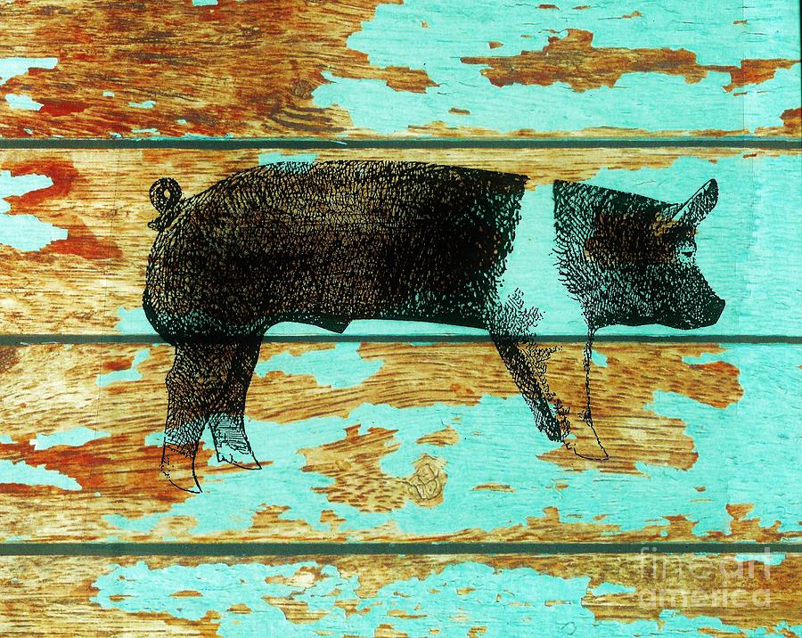 Pig Drawing - Hampshire Boar 1 by Larry Campbell
